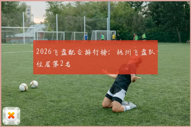 2026飞盘配合排行榜：杭州飞盘队位居第2名