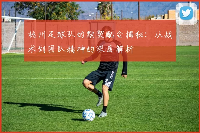 杭州足球队的默契配合揭秘：从战术到团队精神的深度解析