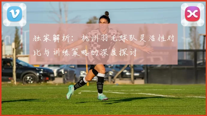 独家解析：杭州羽毛球队灵活性对比与训练策略的深度探讨