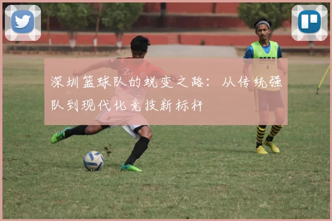 深圳篮球队的蜕变之路：从传统强队到现代化竞技新标杆