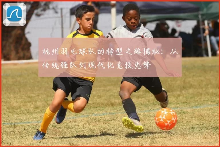 杭州羽毛球队的转型之路揭秘：从传统强队到现代化竞技先锋
