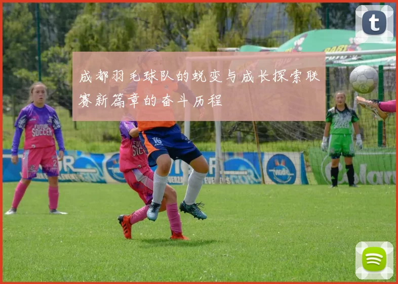 成都羽毛球队的蜕变与成长探索联赛新篇章的奋斗历程