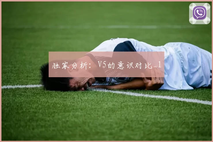 独家分析：V5的意识对比_1