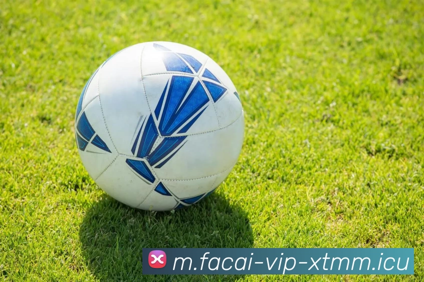 米兰体育服务体系